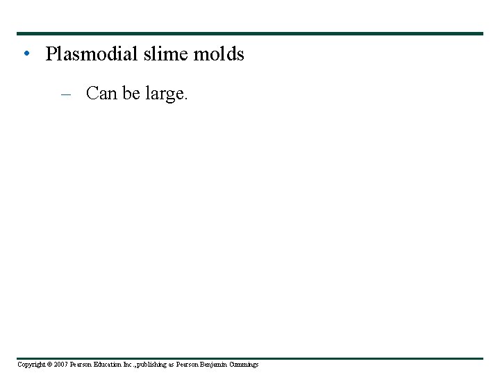  • Plasmodial slime molds – Can be large. Copyright © 2007 Pearson Education