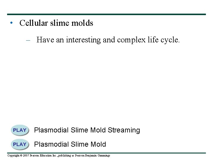  • Cellular slime molds – Have an interesting and complex life cycle. Plasmodial