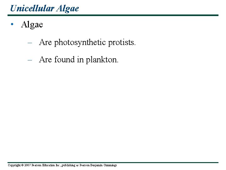 Unicellular Algae • Algae – Are photosynthetic protists. – Are found in plankton. Copyright