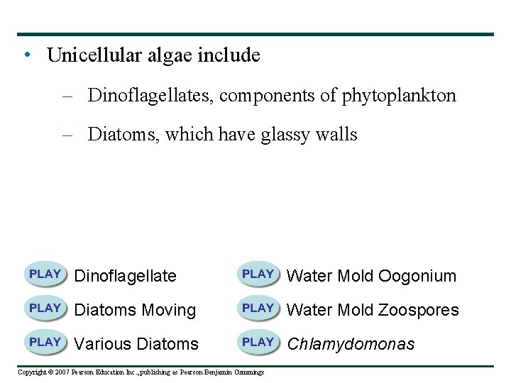 • Unicellular algae include – Dinoflagellates, components of phytoplankton – Diatoms, which have