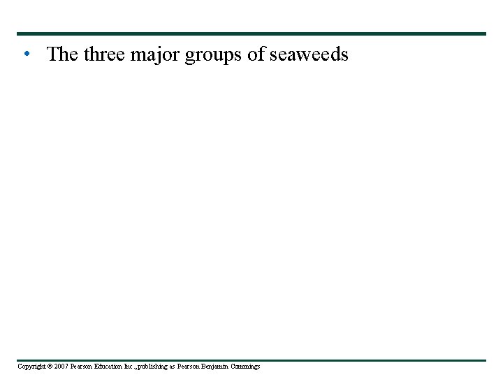  • The three major groups of seaweeds Copyright © 2007 Pearson Education Inc.