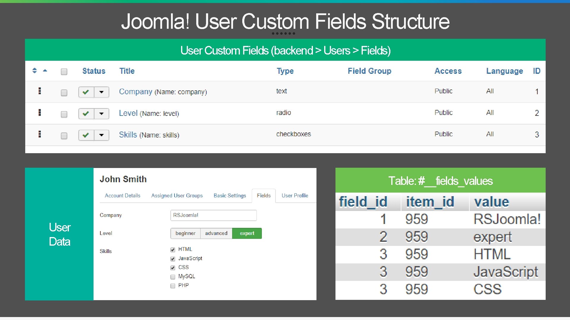 Joomla! User Custom Fields Structure User Custom Fields (backend > Users > Fields) Table: