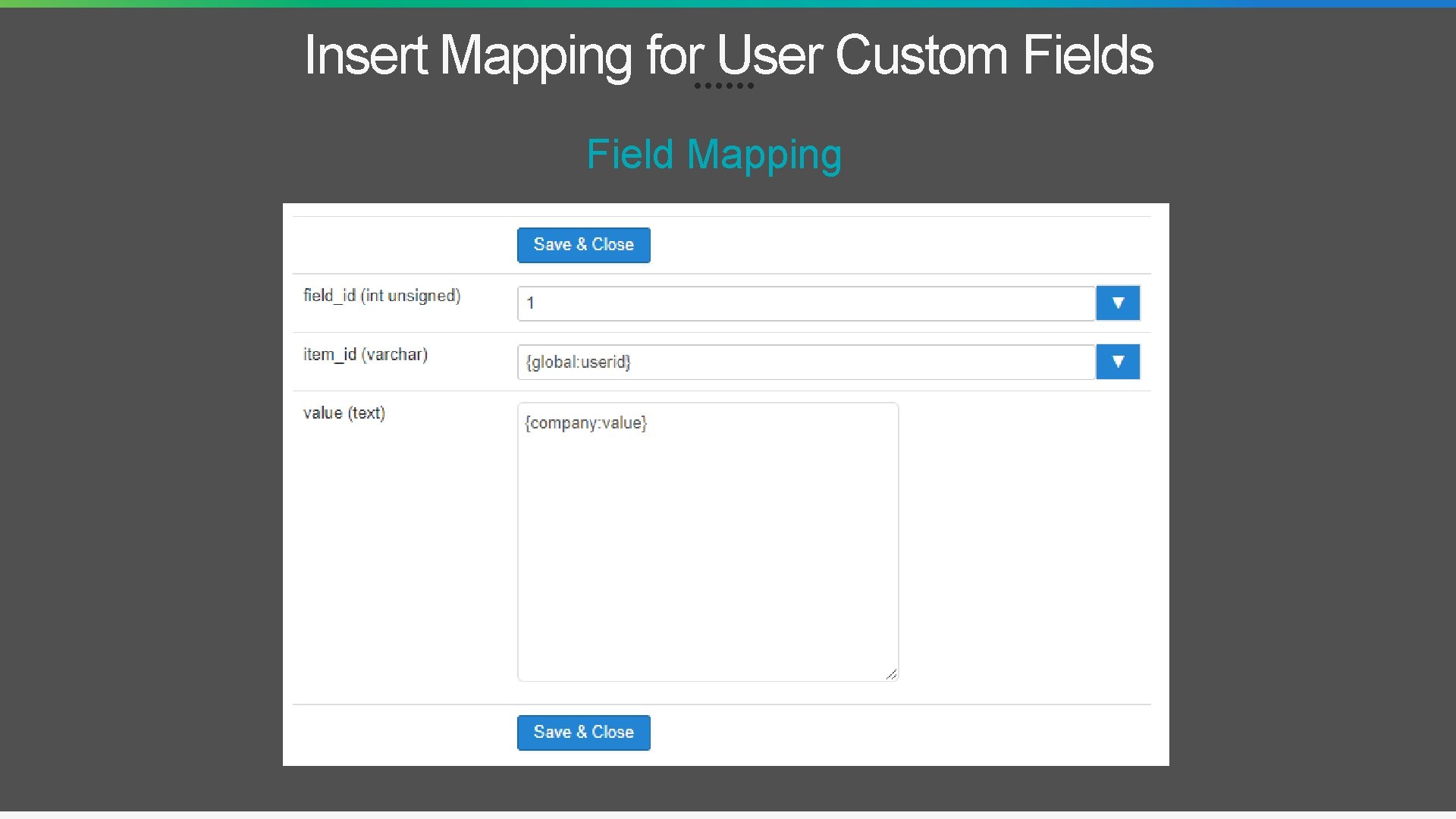 Insert Mapping for User Custom Fields Field Mapping 