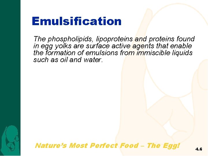 Emulsification The phospholipids, lipoproteins and proteins found in egg yolks are surface active agents