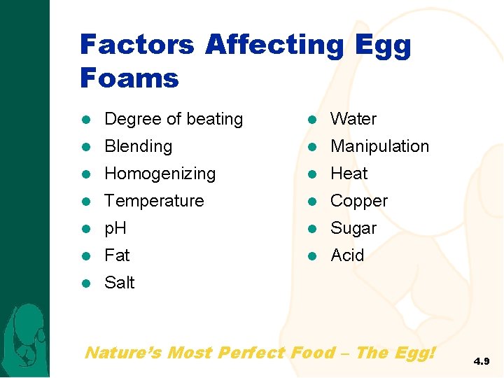 Factors Affecting Egg Foams l Degree of beating l Water l Blending l Manipulation
