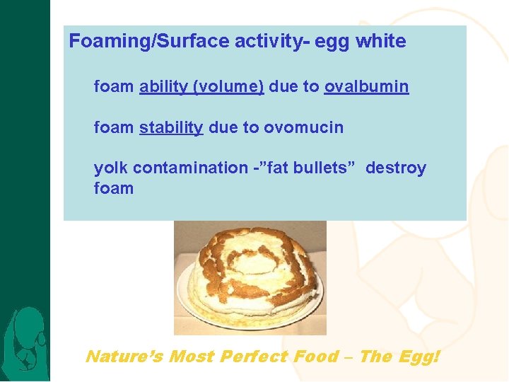 Foaming/Surface activity- egg white foam ability (volume) due to ovalbumin foam stability due to