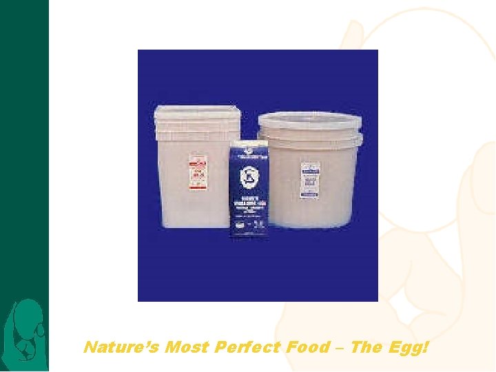 Nature’s Most Perfect Food – The Egg! 