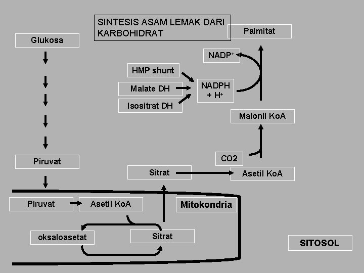 Glukosa SINTESIS ASAM LEMAK DARI KARBOHIDRAT Palmitat NADP+ HMP shunt Malate DH NADPH +