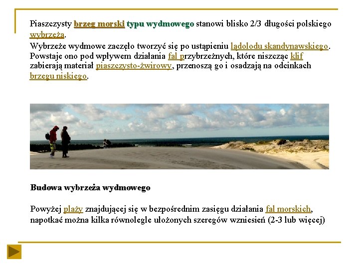 Piaszczysty brzeg morski typu wydmowego stanowi blisko 2/3 długości polskiego wybrzeża. Wybrzeże wydmowe zaczęło