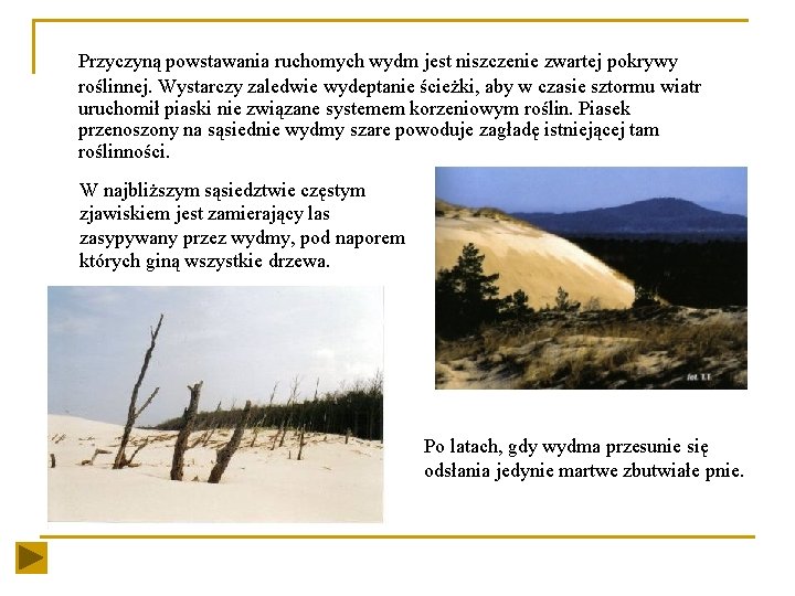Przyczyną powstawania ruchomych wydm jest niszczenie zwartej pokrywy roślinnej. Wystarczy zaledwie wydeptanie ścieżki, aby