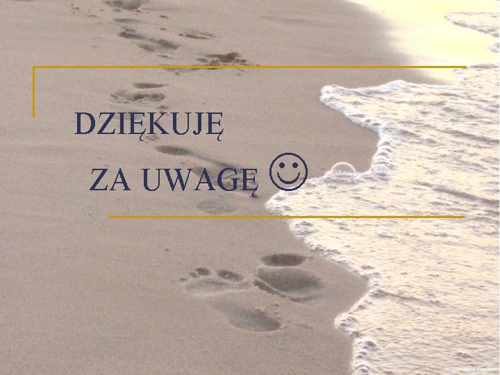 DZIĘKUJĘ ZA UWAGĘ 