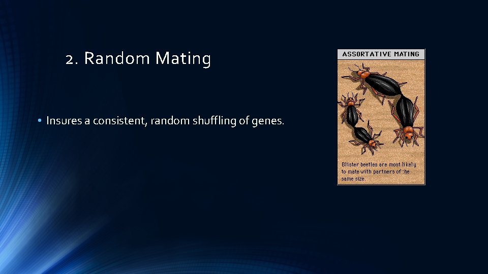 2. Random Mating • Insures a consistent, random shuffling of genes. 