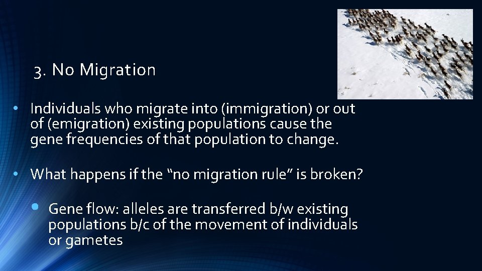 3. No Migration • Individuals who migrate into (immigration) or out of (emigration) existing
