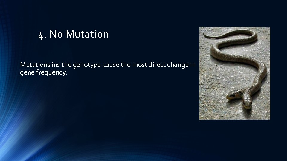 4. No Mutations ins the genotype cause the most direct change in gene frequency.