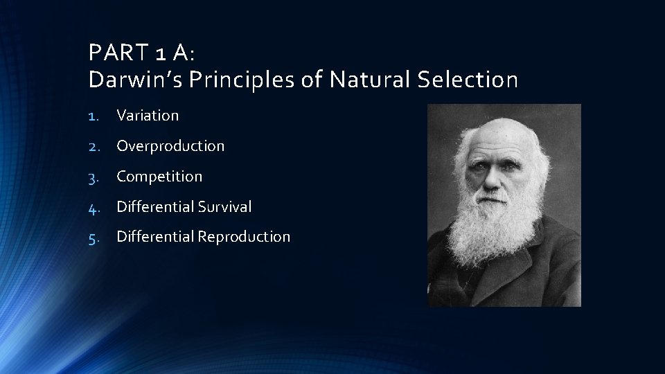 PART 1 A: Darwin’s Principles of Natural Selection 1. Variation 2. Overproduction 3. Competition