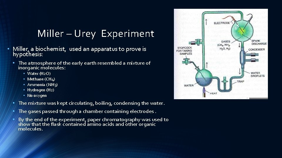 Miller – Urey Experiment • Miller, a biochemist, used an apparatus to prove is