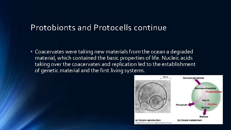 Protobionts and Protocells continue • Coacervates were taking new materials from the ocean a