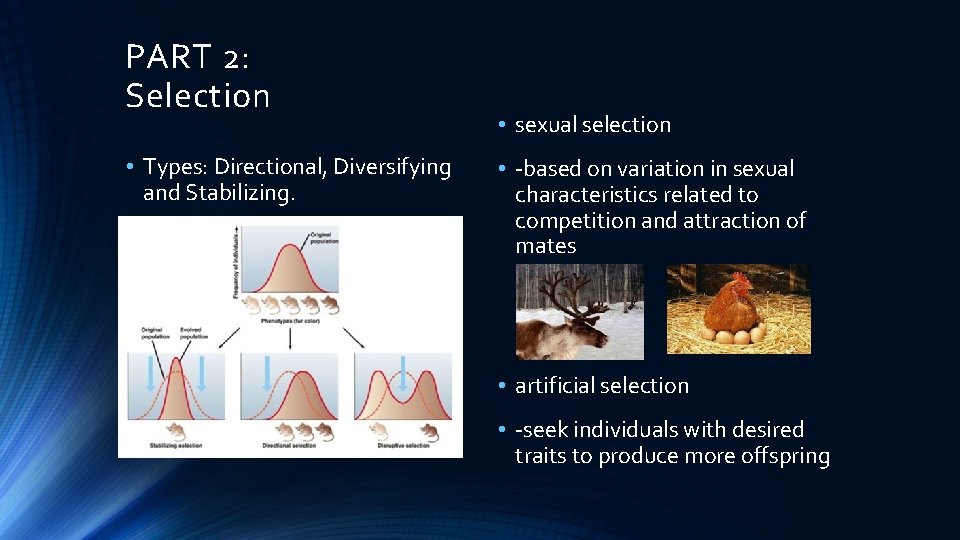 PART 2: Selection • Types: Directional, Diversifying and Stabilizing. • sexual selection • -based