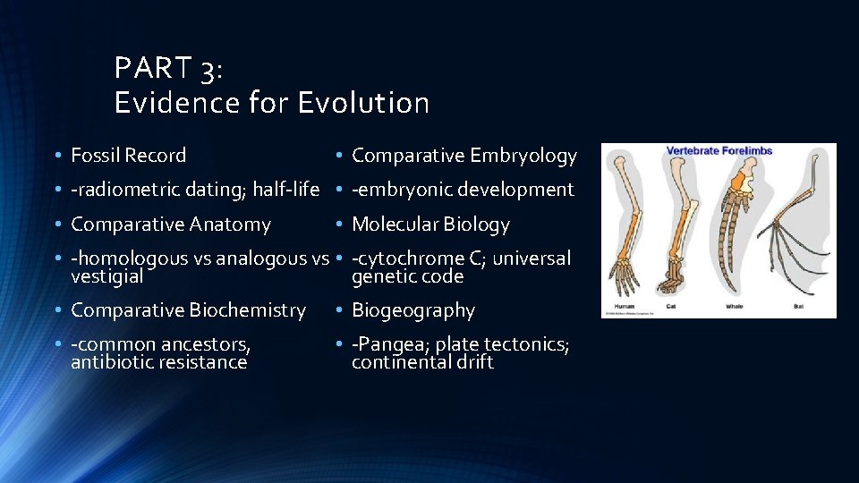 PART 3: Evidence for Evolution • Fossil Record • Comparative Embryology • -radiometric dating;