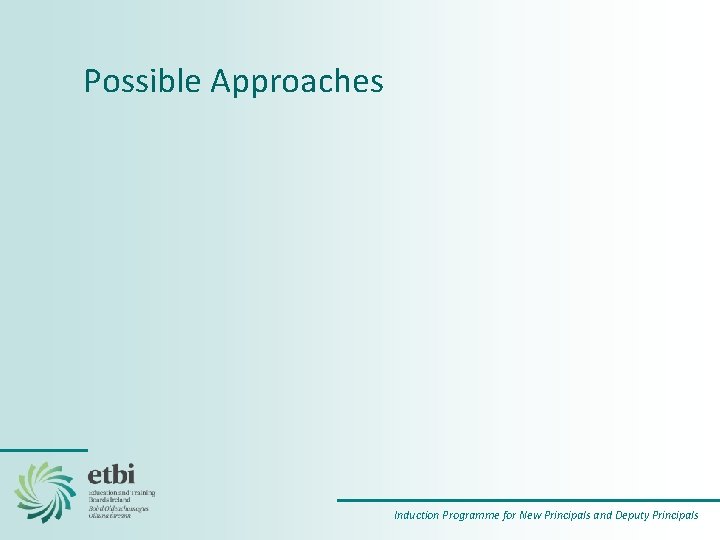 Possible Approaches Induction Programme for New Principals and Deputy Principals 