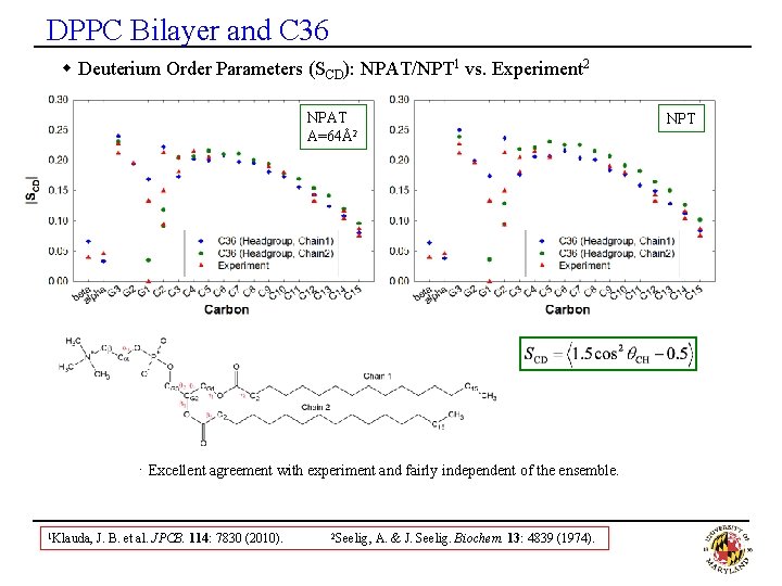 DPPC Bilayer and C 36 w Deuterium Order Parameters (SCD): NPAT/NPT 1 vs. Experiment