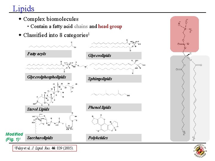 Lipids w Complex biomolecules • Contain a fatty acid chains and head group w