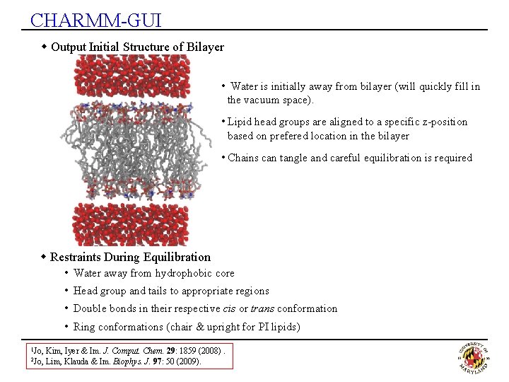 CHARMM-GUI w Output Initial Structure of Bilayer • Water is initially away from bilayer