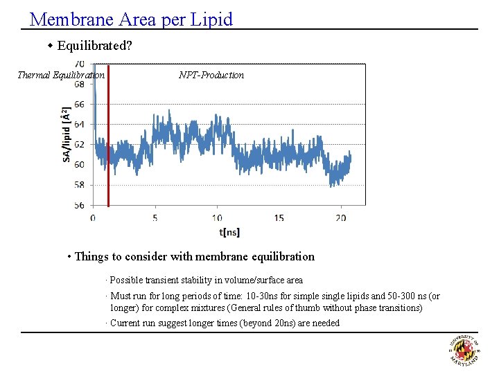 Membrane Area per Lipid w Equilibrated? Thermal Equilibration NPT-Production • Things to consider with