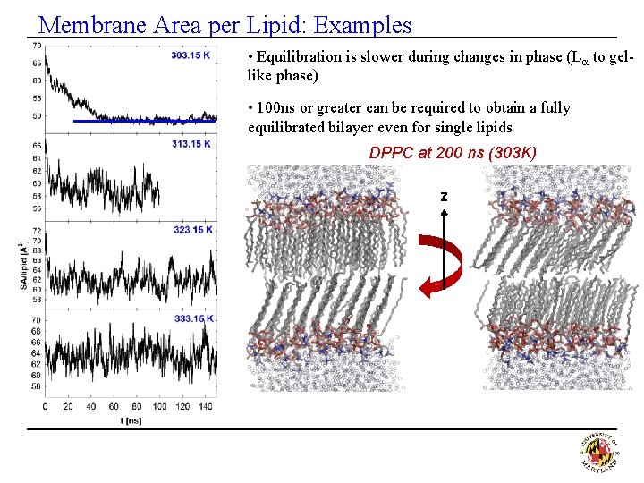 Membrane Area per Lipid: Examples • Equilibration is slower during changes in phase (La
