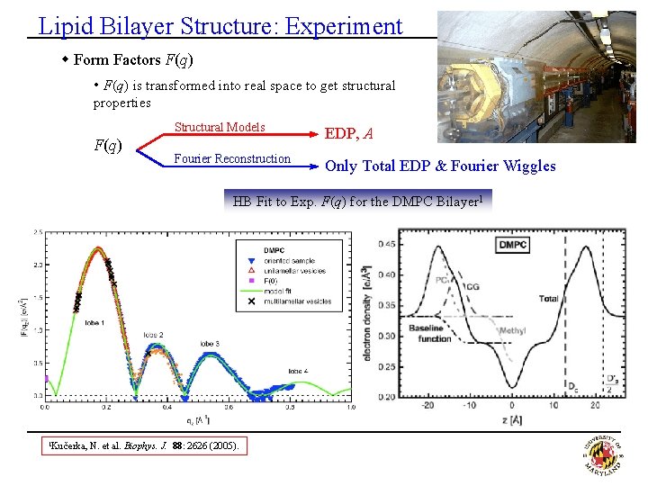 Lipid Bilayer Structure: Experiment w Form Factors F(q) • F(q) is transformed into real