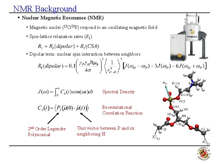 NMR Background w Nuclear Magnetic Resonance (NMR) • Magnetic nuclei (13 C/31 P) respond