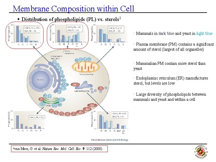 Membrane Composition within Cell w Distribution of phospholipids (PL) vs. sterols 1 · Mammals