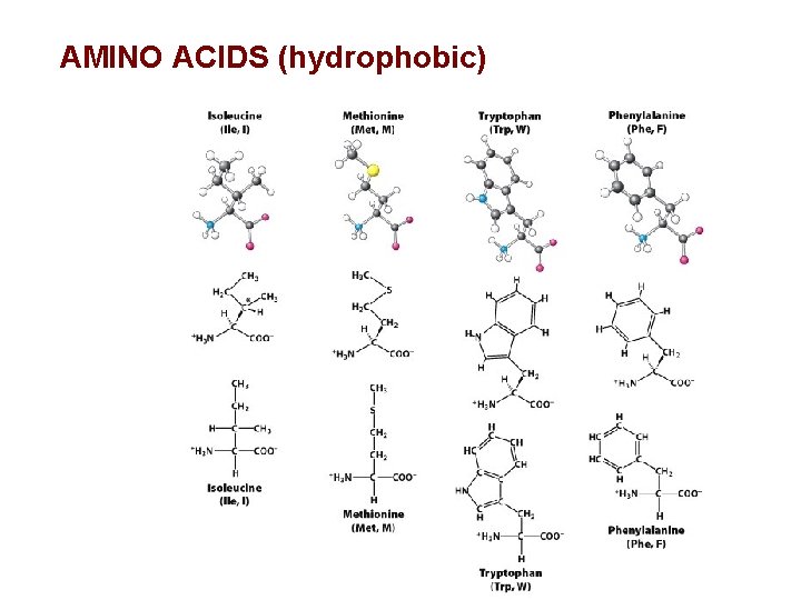 Biochemistry 1 CHEM 271 Information about Sapling Learning