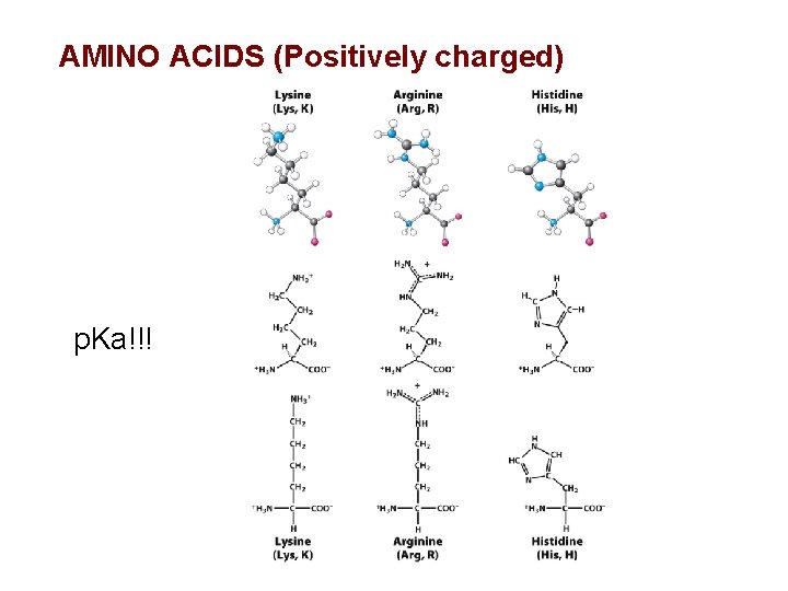 AMINO ACIDS (Positively charged) p. Ka!!! 