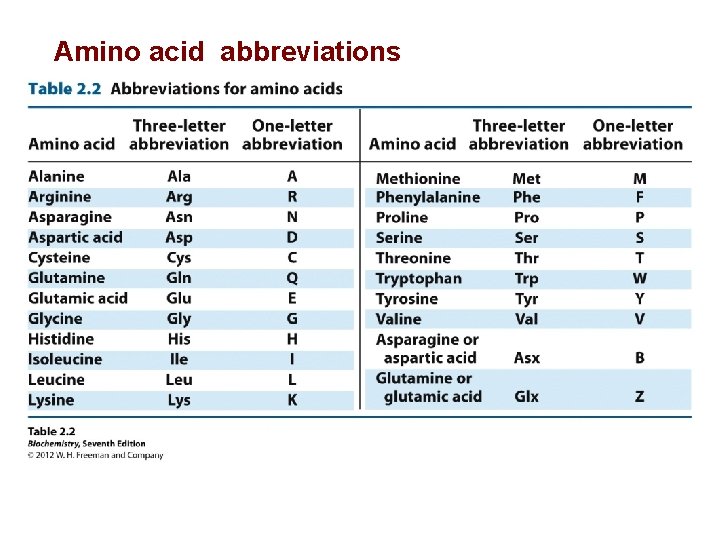 Amino acid abbreviations 