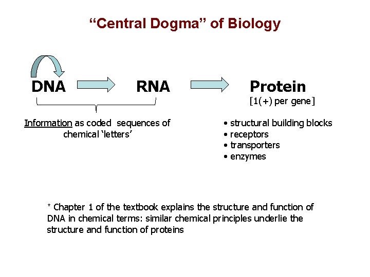 “Central Dogma” of Biology DNA RNA Information as coded sequences of chemical ‘letters’ Protein