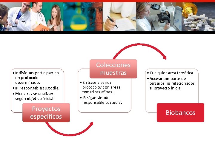  • Individuos participan en un protocolo determinado. • IR responsable custodia. • Muestras