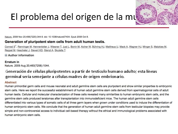 El problema del origen de la muestra…. . Generación de células pluripotentes a partir