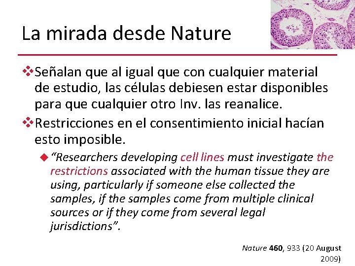 La mirada desde Nature v. Señalan que al igual que con cualquier material de