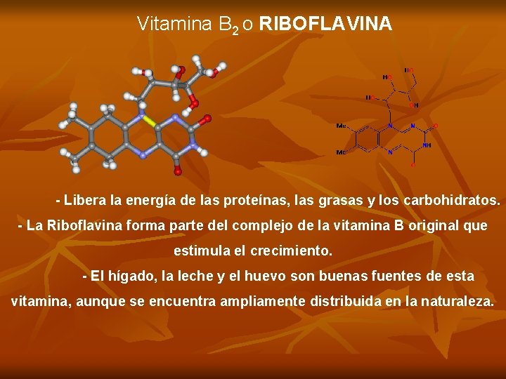 Vitamina B 2 o RIBOFLAVINA - Libera la energía de las proteínas, las grasas