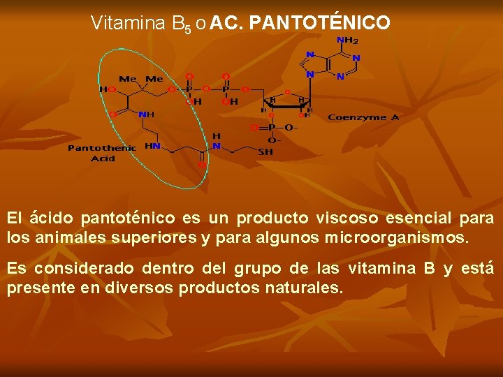 Vitamina B 5 o AC. PANTOTÉNICO El ácido pantoténico es un producto viscoso esencial