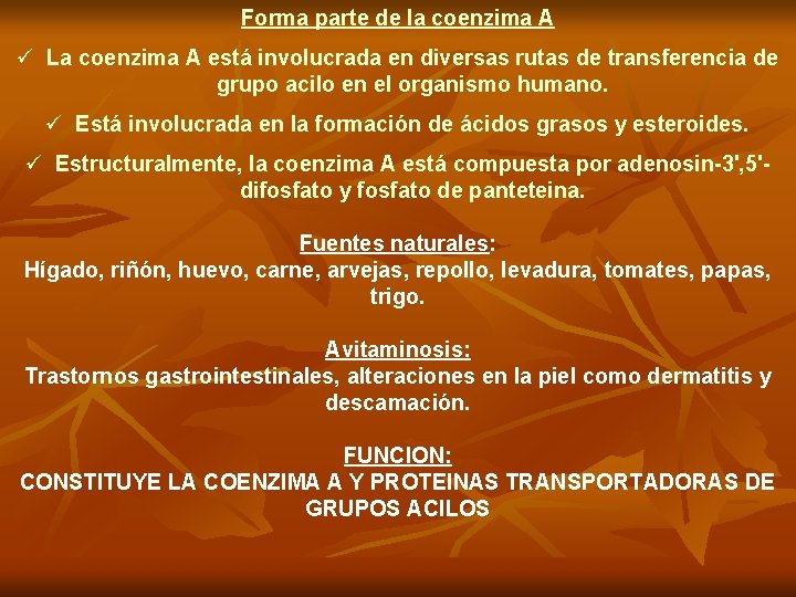 Forma parte de la coenzima A ü La coenzima A está involucrada en diversas