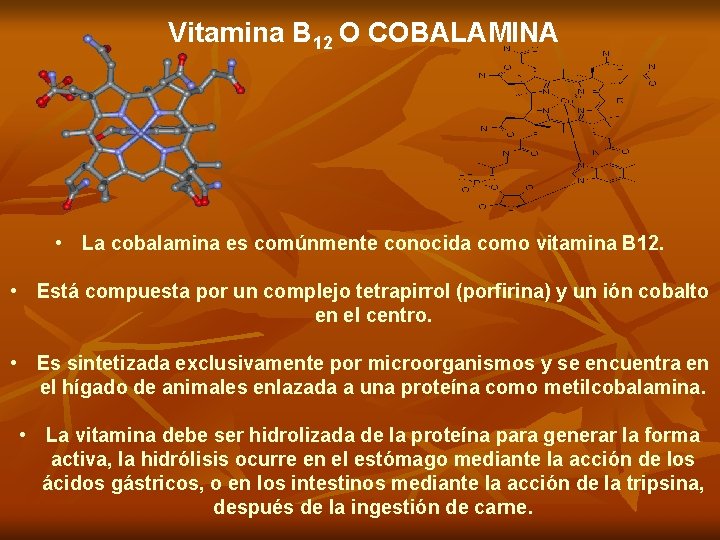 Vitamina B 12 O COBALAMINA • La cobalamina es comúnmente conocida como vitamina B