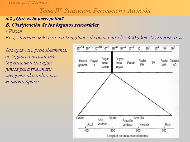 Psicología 2º Bachiller Tema IV Sensación, Percepción y Atención 4. 2 ¿Qué es la