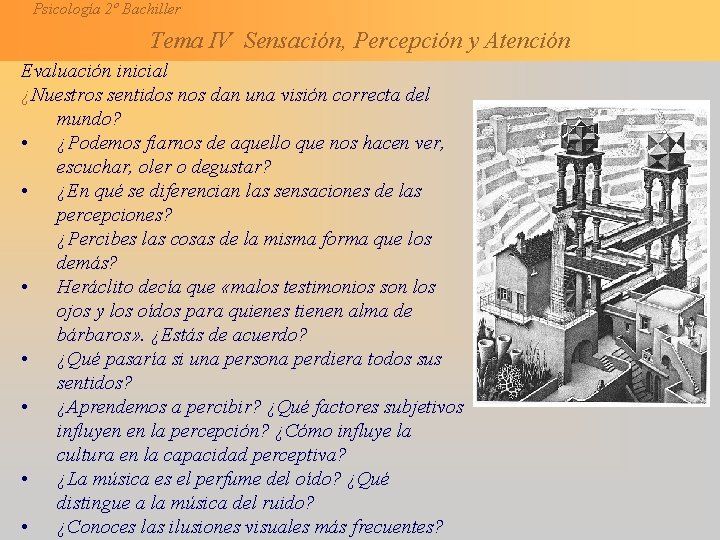 Psicología 2º Bachiller Tema IV Sensación, Percepción y Atención Evaluación inicial ¿Nuestros sentidos nos