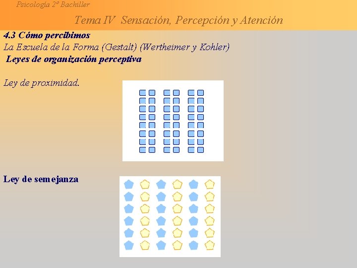 Psicología 2º Bachiller Tema IV Sensación, Percepción y Atención 4. 3 Cómo percibimos La