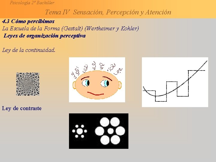 Psicología 2º Bachiller Tema IV Sensación, Percepción y Atención 4. 3 Cómo percibimos La