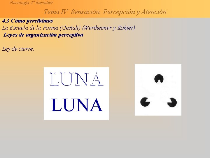 Psicología 2º Bachiller Tema IV Sensación, Percepción y Atención 4. 3 Cómo percibimos La