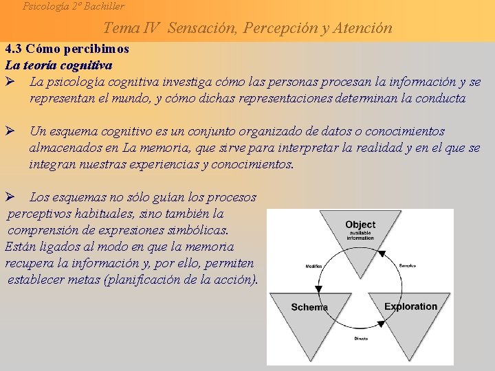 Psicología 2º Bachiller Tema IV Sensación, Percepción y Atención 4. 3 Cómo percibimos La