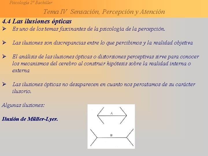 Psicología 2º Bachiller Tema IV Sensación, Percepción y Atención 4. 4 Las ilusiones ópticas